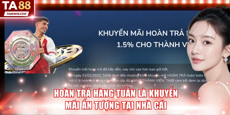 Hoàn trả hàng tuần là khuyến mãi ấn tượng tại nhà cái